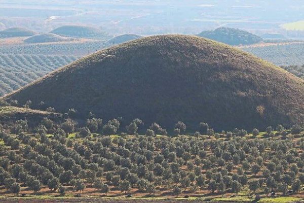 bintepeler-1