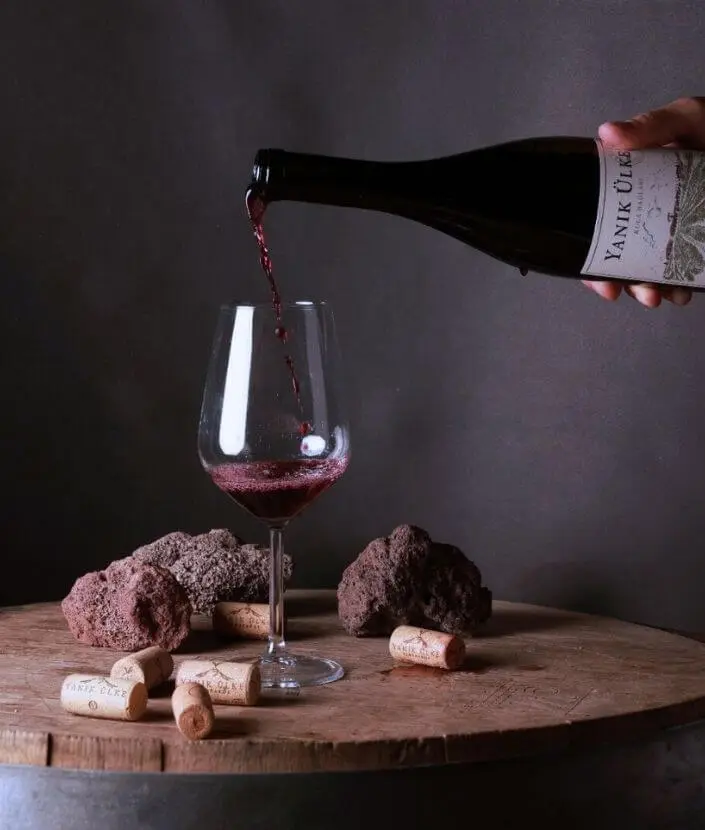 şarap önerisi